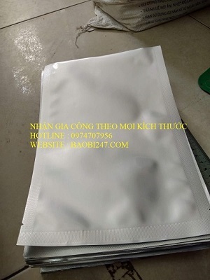 tuinhom3bien2matbactaihanoi