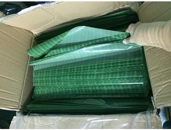 manglachuoigiaxanh14