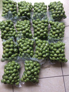 tuihutchankhong12zem2