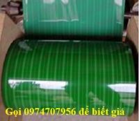 LÁ CHUỐI GIẢ XANH CHƯA CHIA